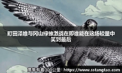 町田泽维与冈山绿雏激战在即谁能在这场较量中笑到最后